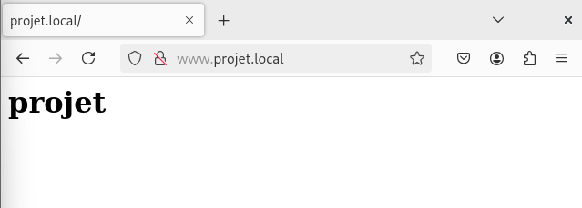 Recette : site projet affiché après authentification