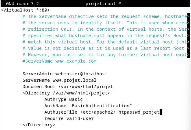 VirtualHost du site projet : nom de domaine, dossier et authentification Basic